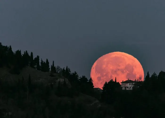 Bed and breakfast Corte Ca' Bosco Castello di Serravalle