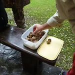 Corte Ca' Bosco 4* 카스텔로 디 세라발레