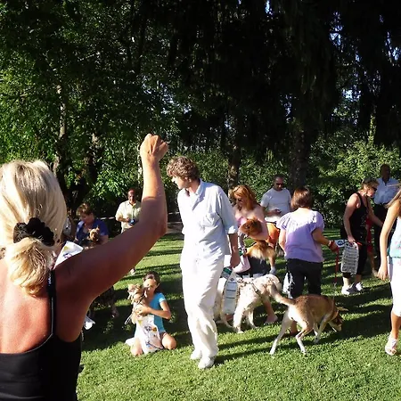 Corte Ca' Bosco Bed & Breakfast Castello di Serravalle