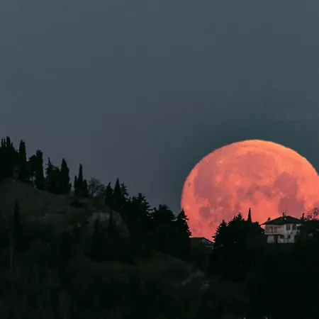 Bed and Breakfast Corte Ca' Bosco Castello di Serravalle