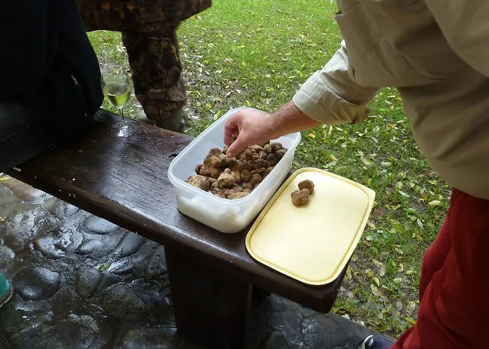Corte Ca' Bosco 4* Castello di Serravalle